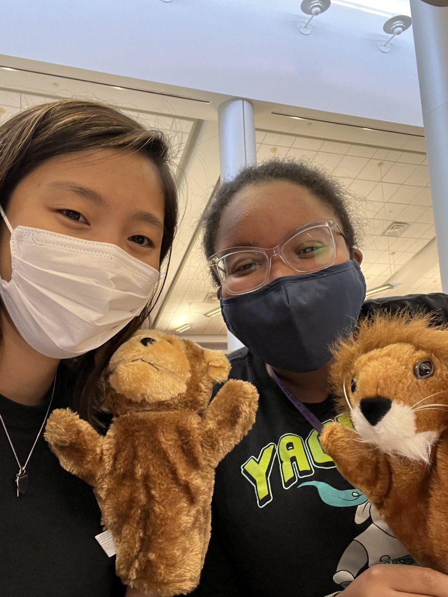 Anna Park tweet media