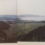 ツイートに含まれる画像