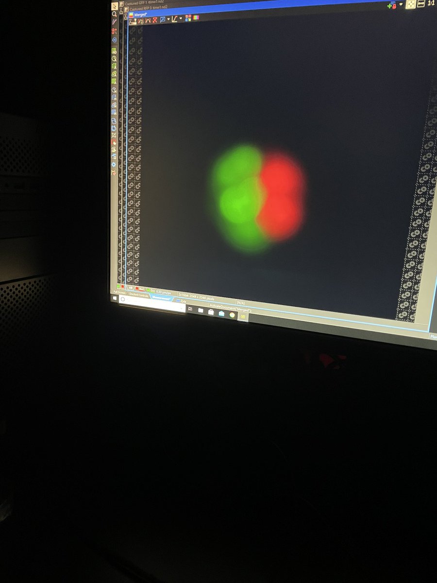 Dr. Koty Sharp tweet media