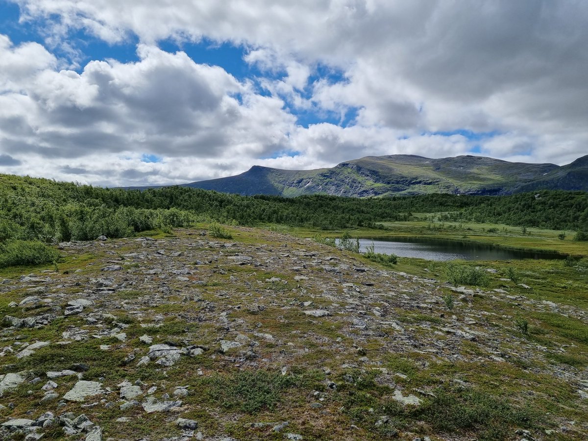 Elajaz_'s tweet photo. Two Lovely weeks in northern Sweden and the weather was perfect. 
Looking forward to next time already🥰🎣

#mountains #puppy #Sweden https://t.co/EOsSW1WvuR