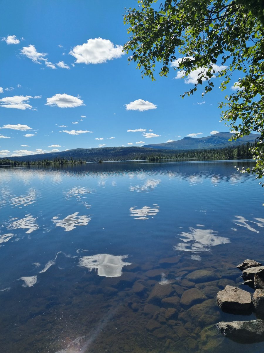 Elajaz_'s tweet photo. Two Lovely weeks in northern Sweden and the weather was perfect. 
Looking forward to next time already🥰🎣

#mountains #puppy #Sweden https://t.co/EOsSW1WvuR