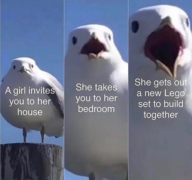 WholesomeMeme's tweet photo. https://t.co/V6LERgbedZ