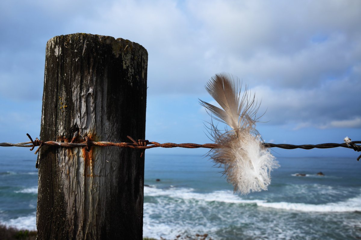 Of the many things I love about photography, one is that it makes you look closer and find the subtleties.