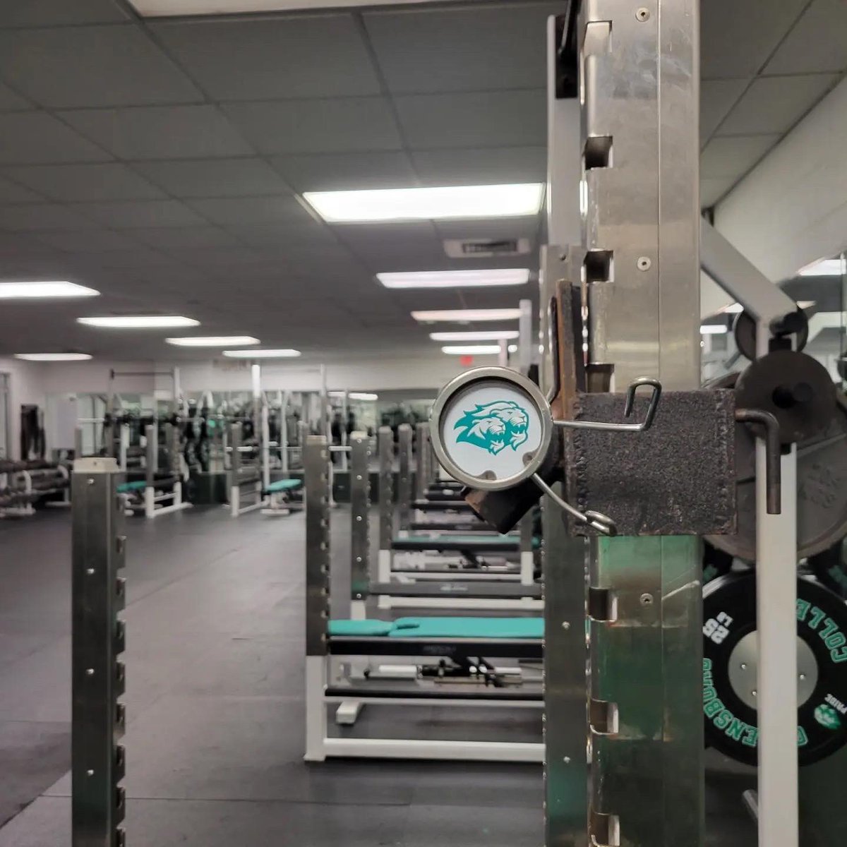 Greensboro College Women's Soccer tweet media
