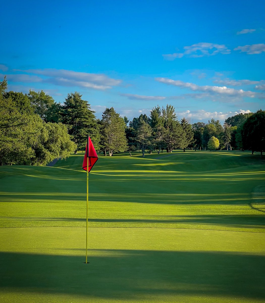 Rene'e C. Polka tweet media