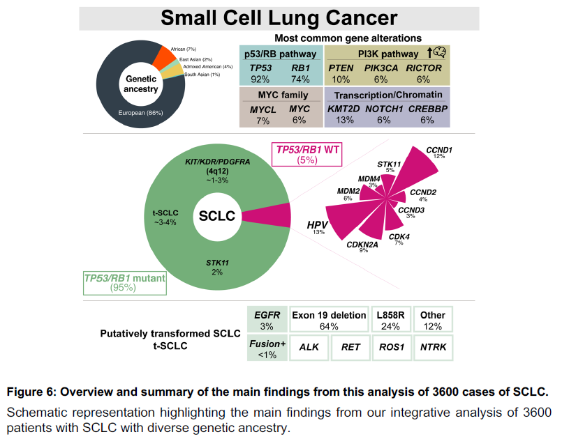 Major update for small cell #lung cancer! #LCSM With @juliensage + @FoundationATCG, our paper now on @bioRxiv: ►Genomic analysis of *3,600* pts with SCLC; largest SCLC study to date! ►Multiple interesting findings discussed in this 🧵 biorxiv.org/content/10.110…