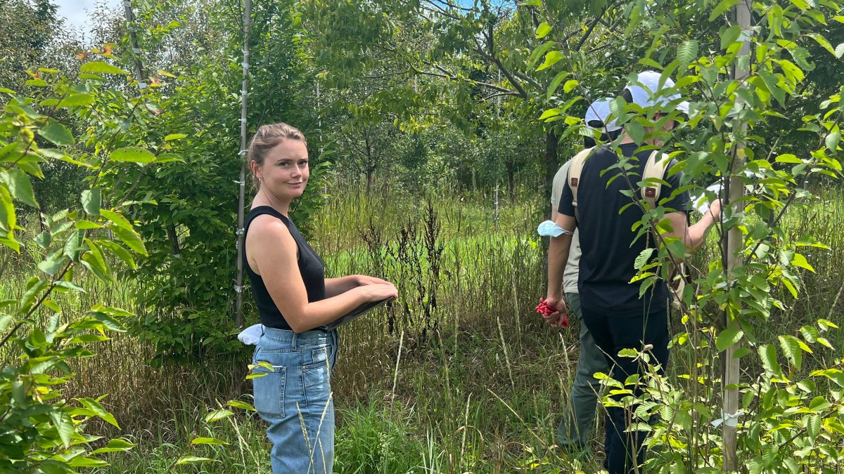 stosslu's tweet photo. Outdoors at the office π³ One thousand acres in upstate NY in search of our favorite trees
#fieldtrip #treeteam https://t.co/BcmG4K0nBj