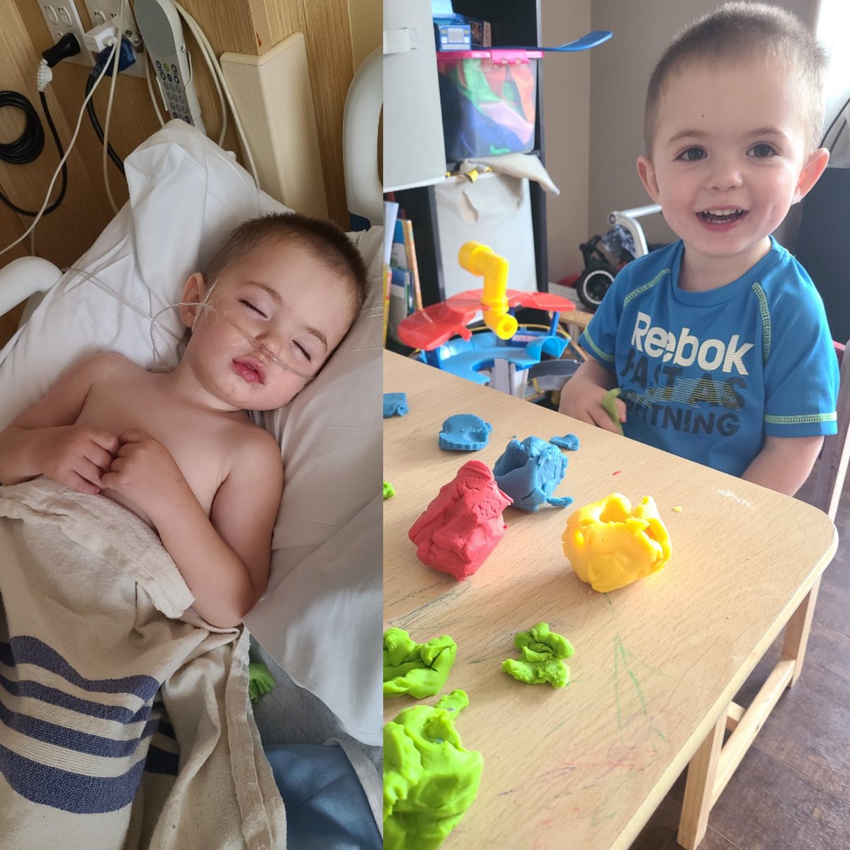 Ryan Wood tweet media