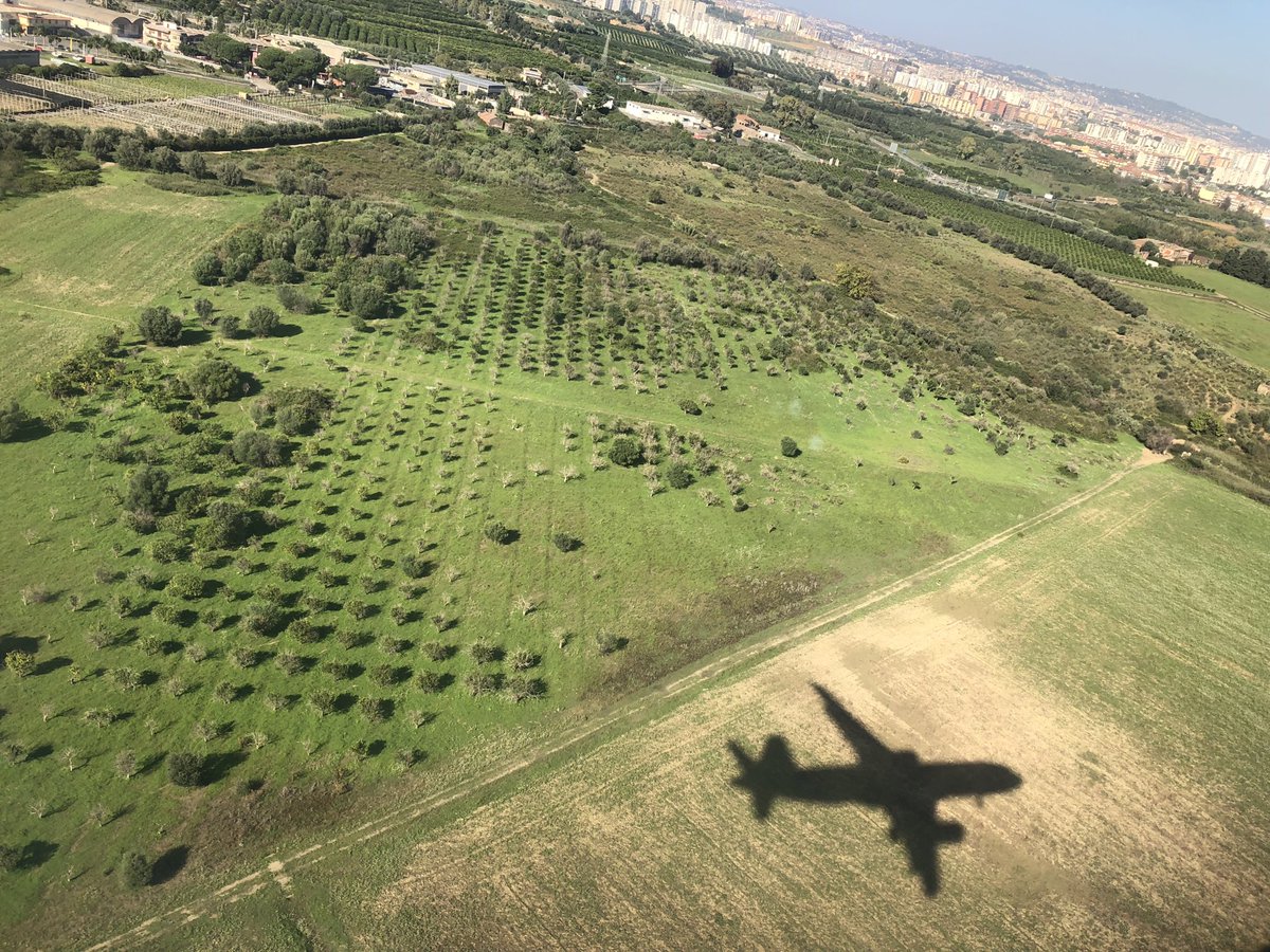 Judy Nitsch tweet media