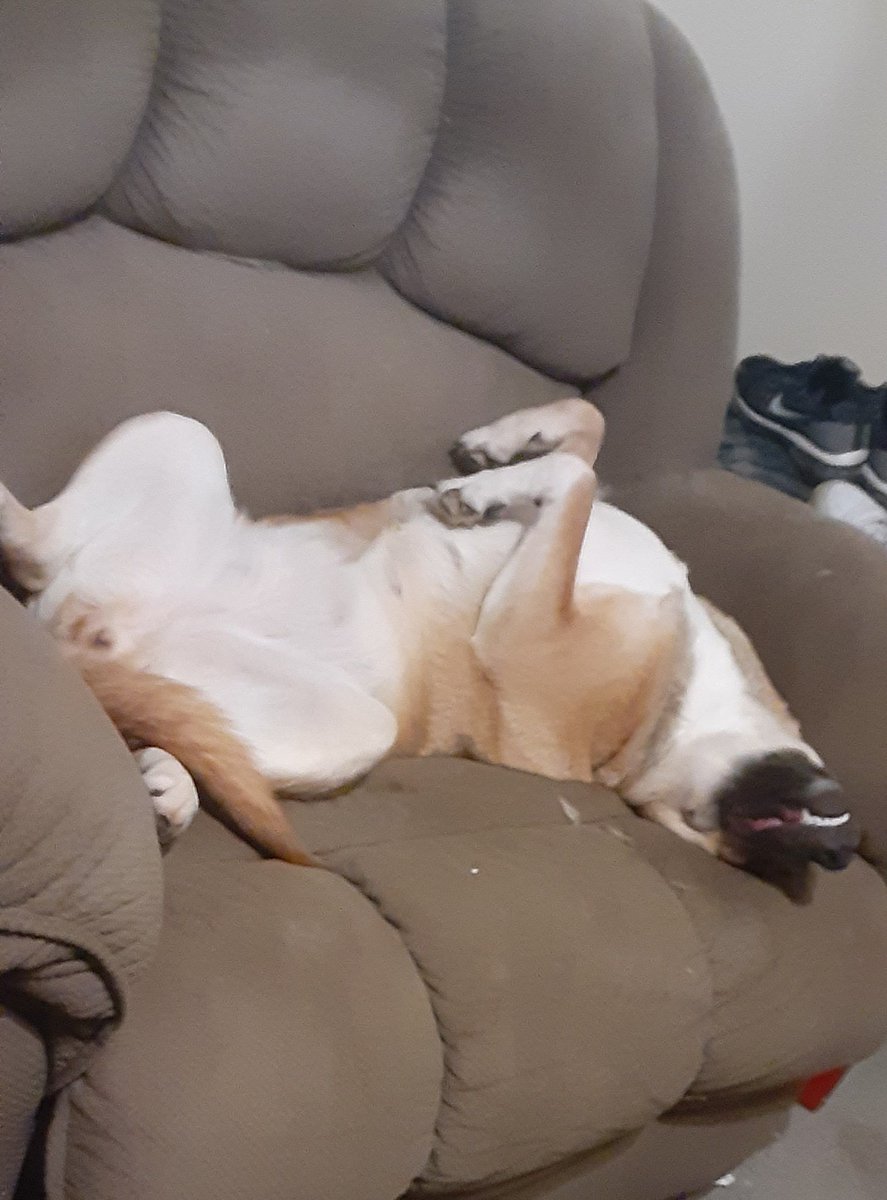 Jack Shmidt tweet media