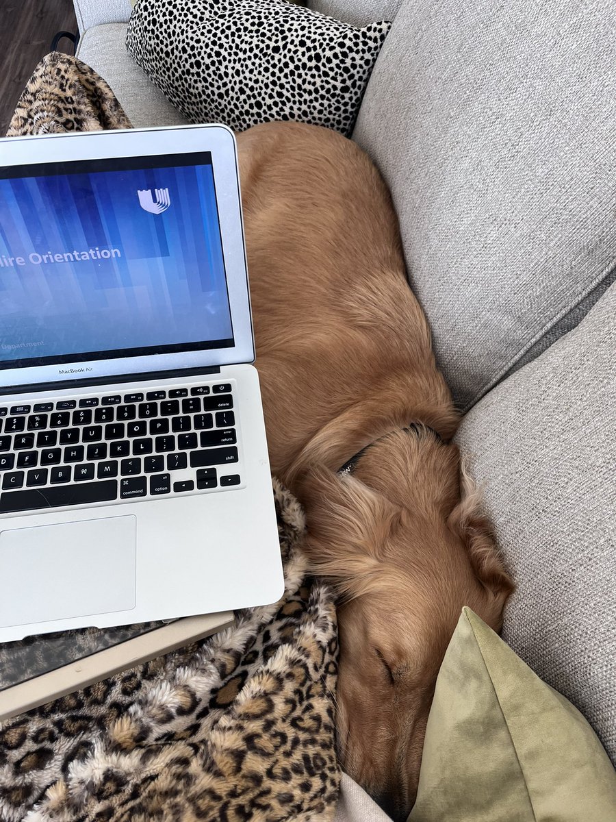 First 2 days of (virtual) orientation ✅

Ready to get to work and meet my new colleagues <a href="/DukeHMCT/">Duke Hematologic Malignancies & Cellular Therapy</a> <a href="/DukeOncRx/">Duke Oncology Pharmacy Programs</a>!! Not sure Petty is as excited as I am though