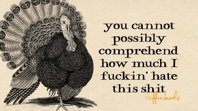 EffinBirds's tweet photo. https://t.co/Tg0pKagclC