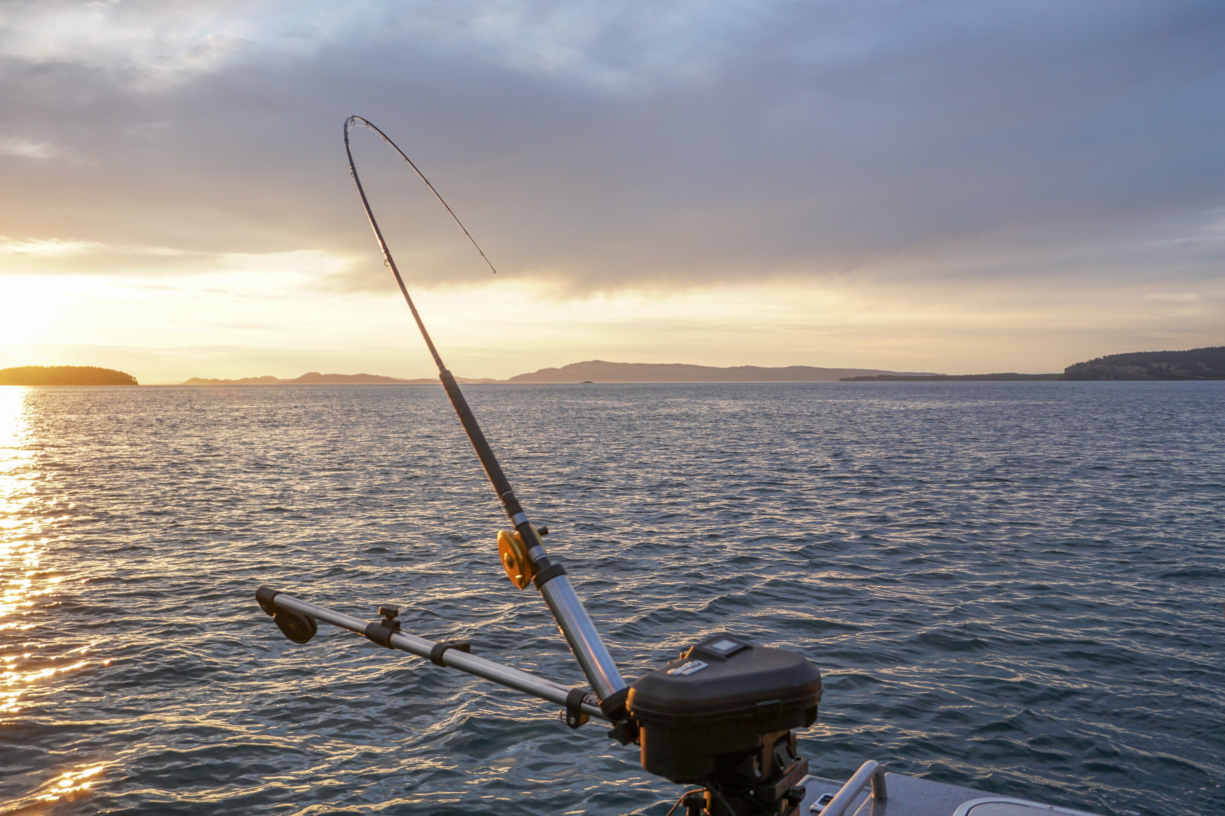 WDFW on Twitter "A Chinook fishery also opens within the Bellingham