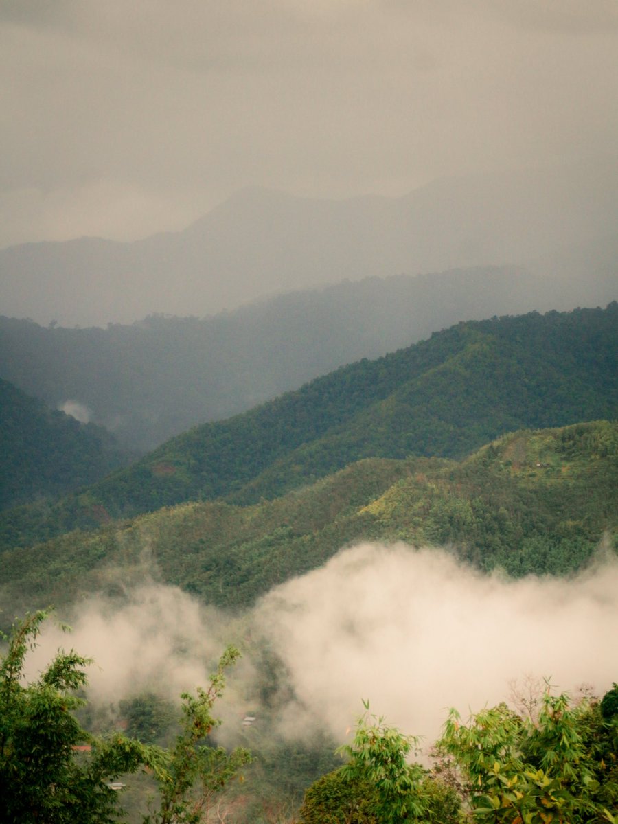 GM from Gunung Kinabalu!

⛰⛰⛰