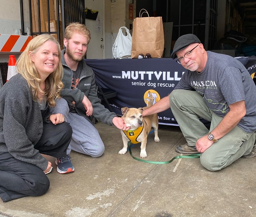 Muttville's tweet photo. Noodles went #foreverhome to Albany with Andrea, Art, and Coltrane! They met her outside while she was being walked on #RescueRow as they were looking to adopt a #rescuedog. #Lovestruck! ❤️‍🔥 Lotsa walks and cuddles in Noodle's new life! https://t.co/W0Qpg2gJQf