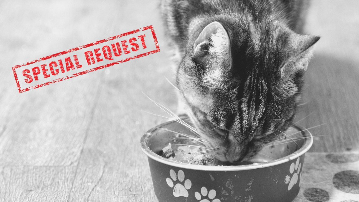 EdmontonHumane's tweet photo. It’s no secret to any of us - inflation is hitting everyone hard right now. Here at EHS, it's no different. On average, the price of pet food, cat litter, &amp; medications have jumped 10%!

Please consider making a donation to help keep our shelves stocked at https://t.co/NIygxERx1n https://t.co/2AsTPLFwKH