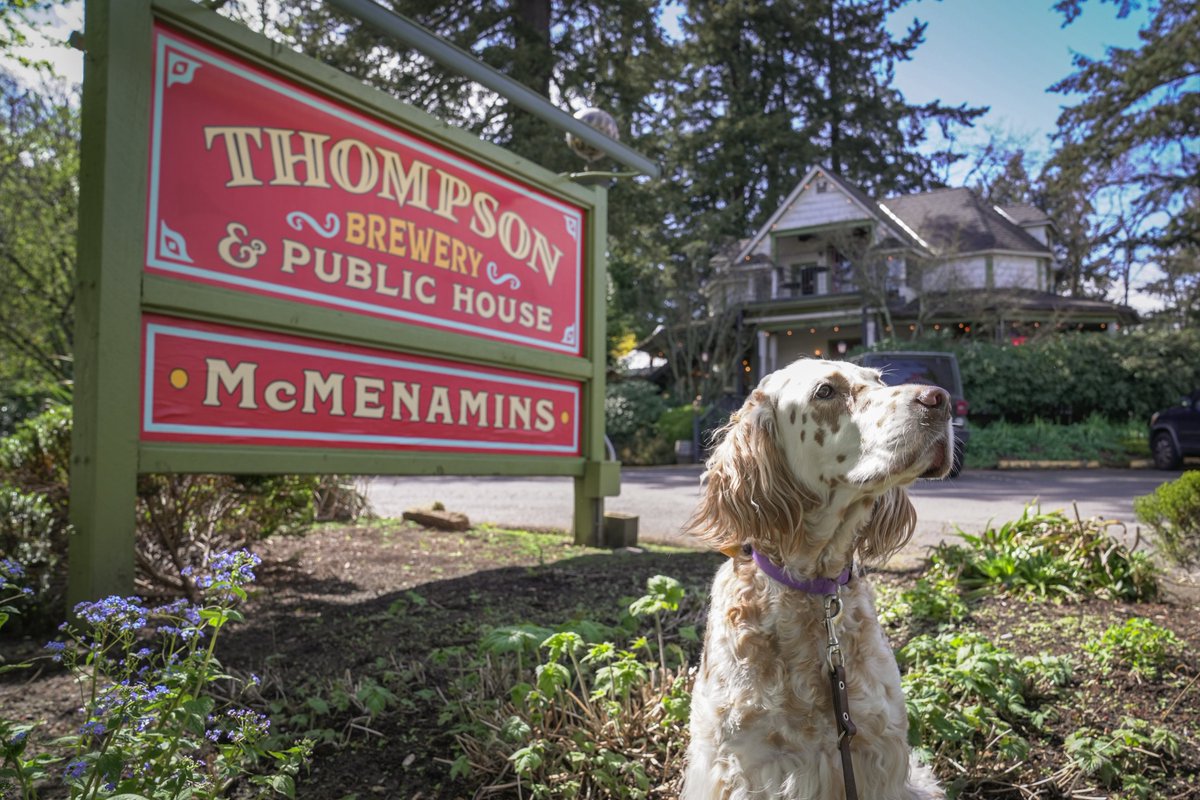 SalemHLC's tweet photo. The summer issue of the HLC newsletter is now available. This edition includes the winners of our annual photo contest. Enjoy it at https://t.co/X0M0x4fgeG https://t.co/rLPxzZNvMc