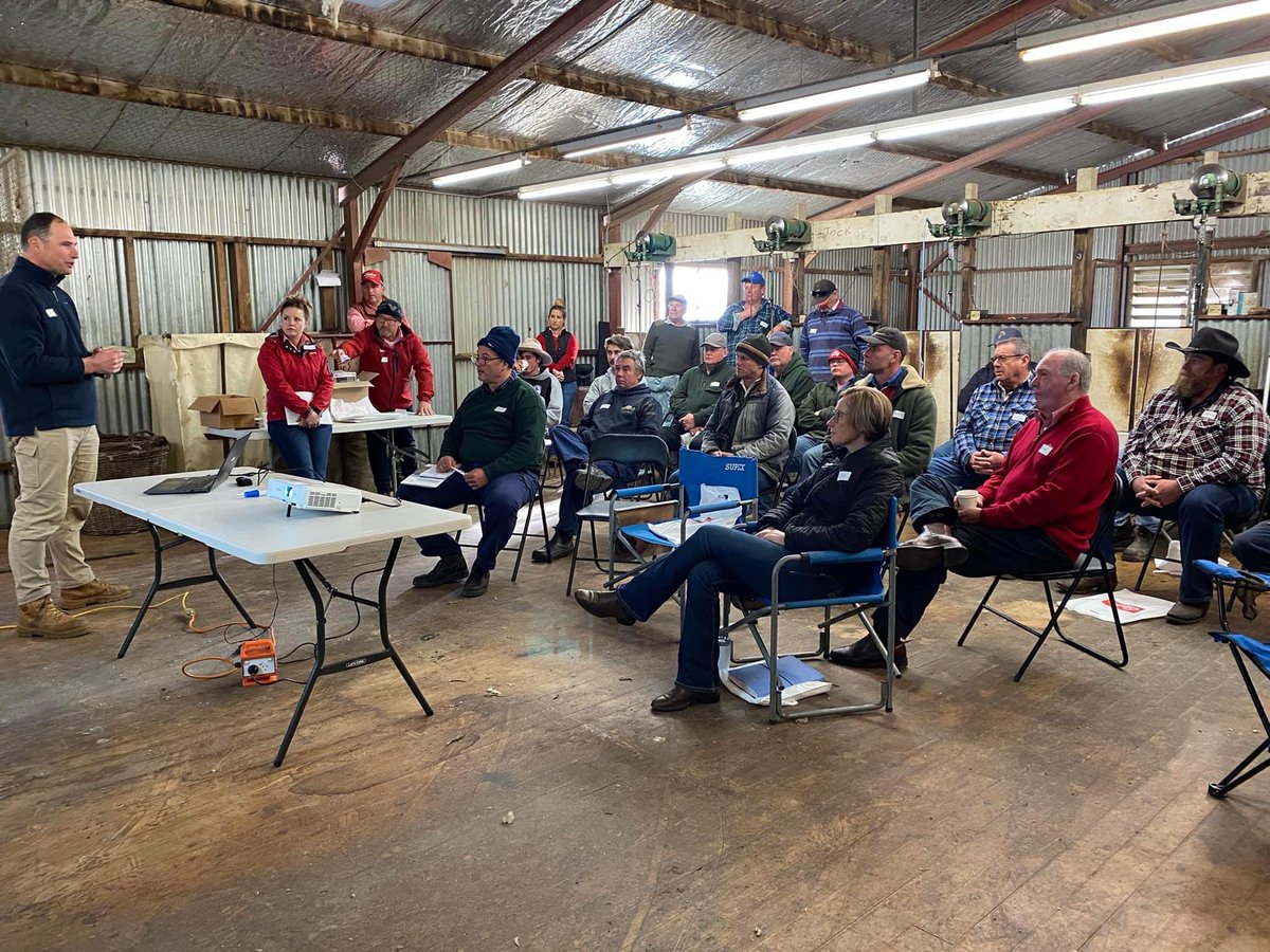 AWIExtensionNSW's tweet photo. A full house at todayโs #RAMpingUpRepro workshop at Laggan.
Massive thanks to todays event partners Thalabah Merino Stud & Elders.
Jim Meckiff is going to run the attendees through the nuts and bolts (pardon the pun) to ensure they are right for joining! ๐ https://t.co/569468fTEk