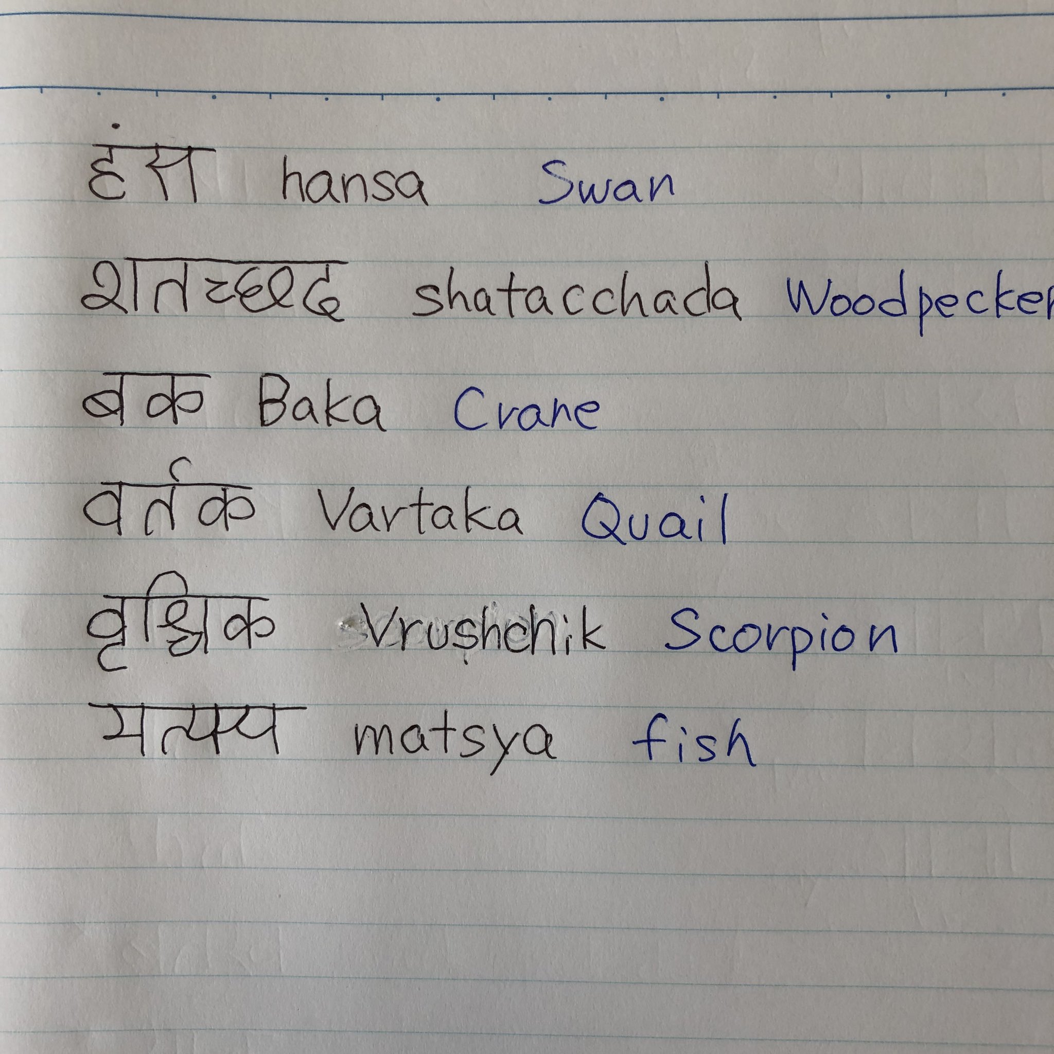 ジムの哲人（インド言語勉強中） on Twitter 