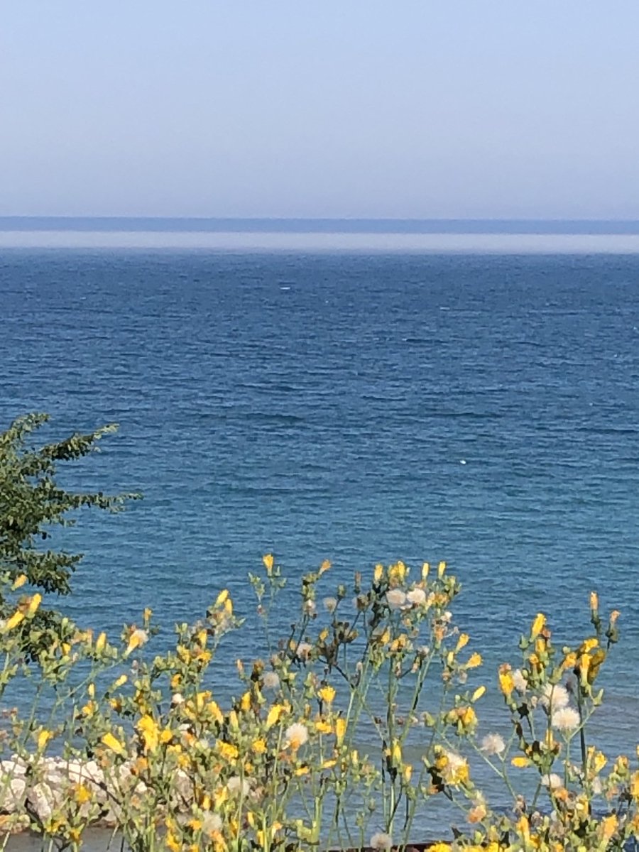 Susan Bence tweet media