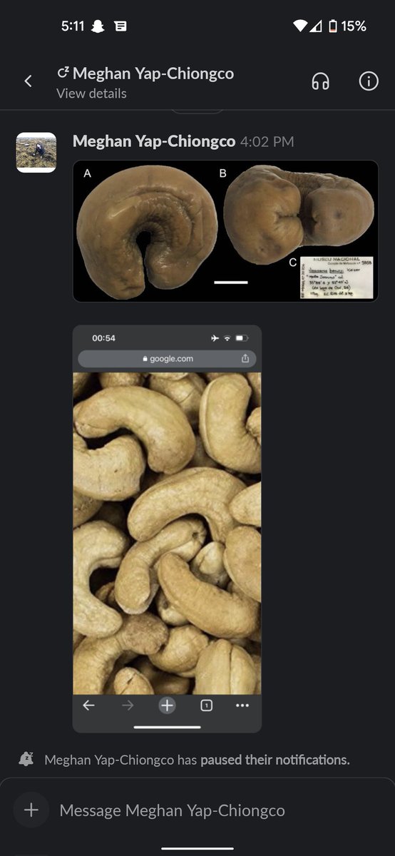 Kevin Kocot tweet media