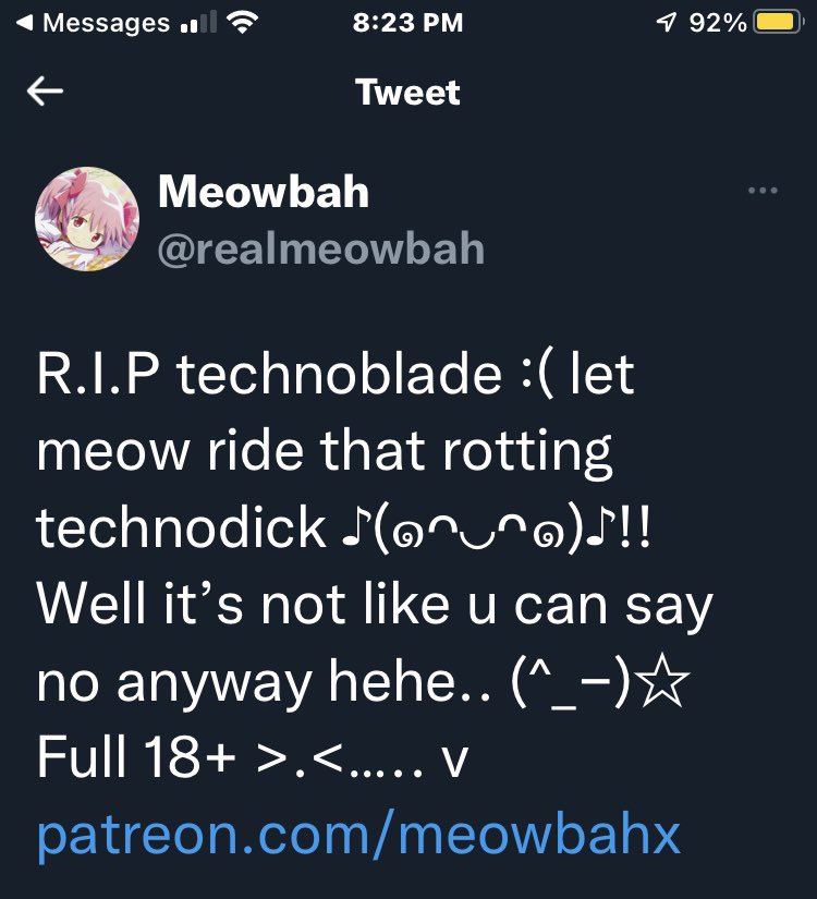 meowbahh technoblade is disgusting 