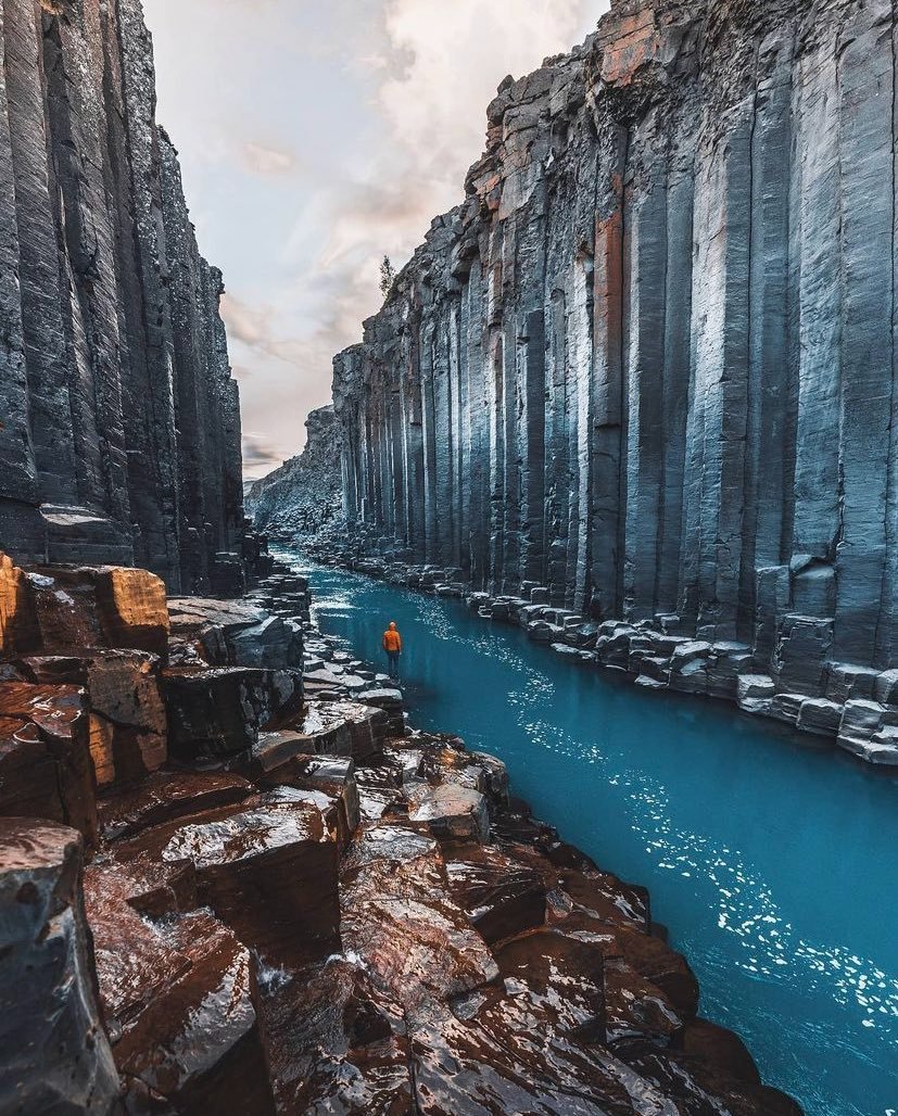 ♡NATURALEZA (@knownmeno) on Twitter photo 