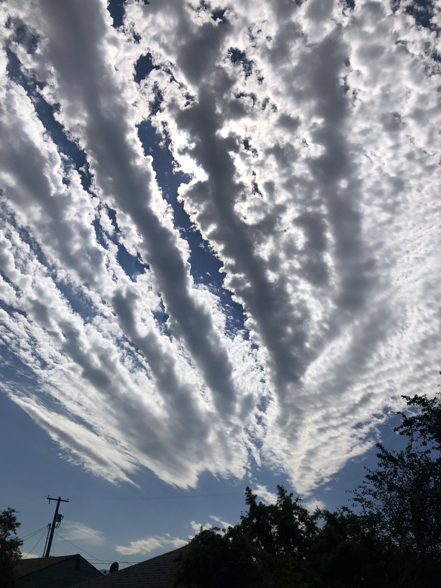 Daniel S. tweet media