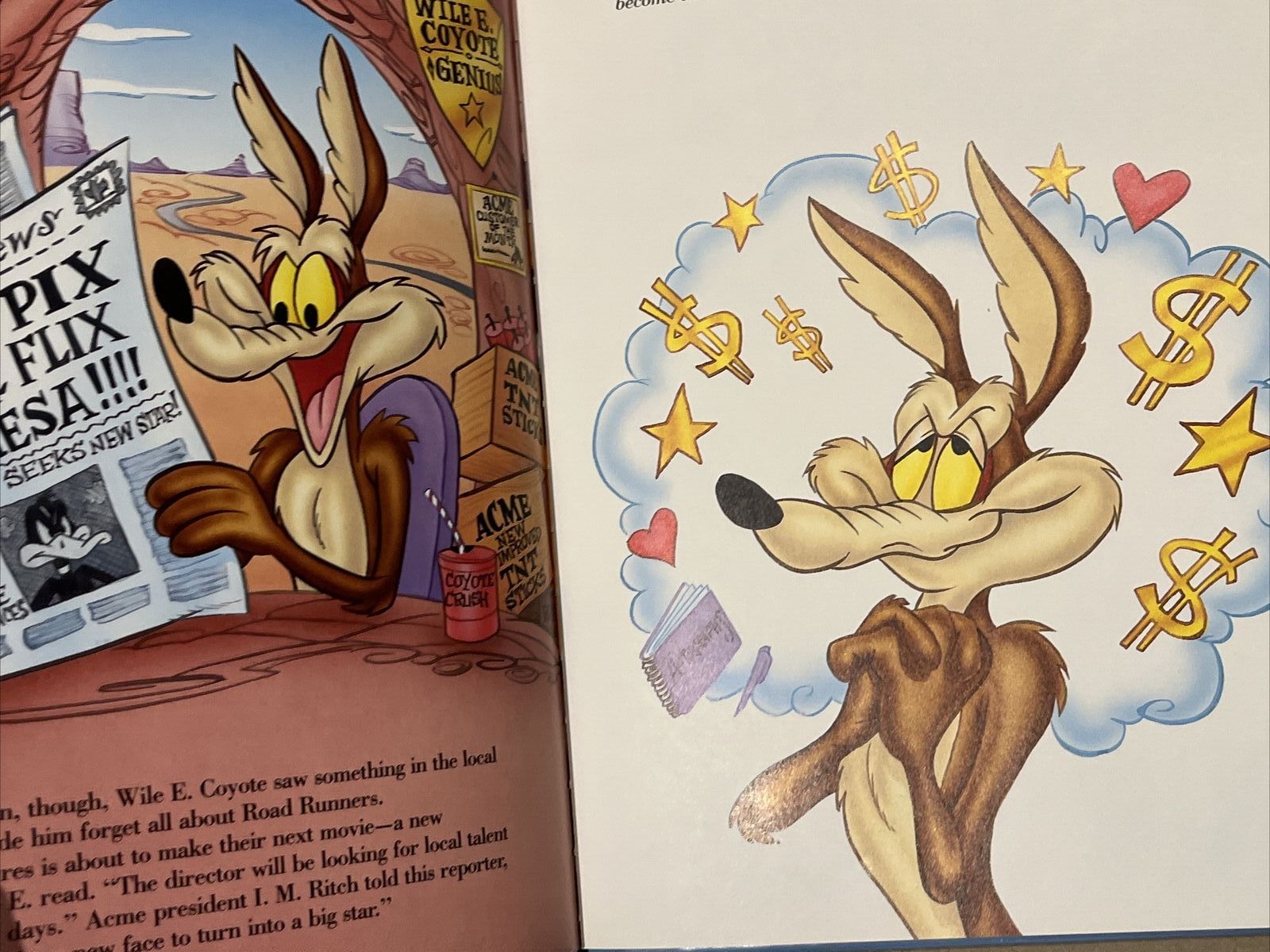 Wile E Coyote Genius Wallpaper Wile E Coyote Genius Wallpaper
