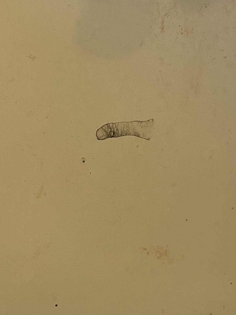 bsmith030913's tweet photo. Saw this on my sink #charcoalfacewash #dirtyminds https://t.co/y0bjUBrQz8