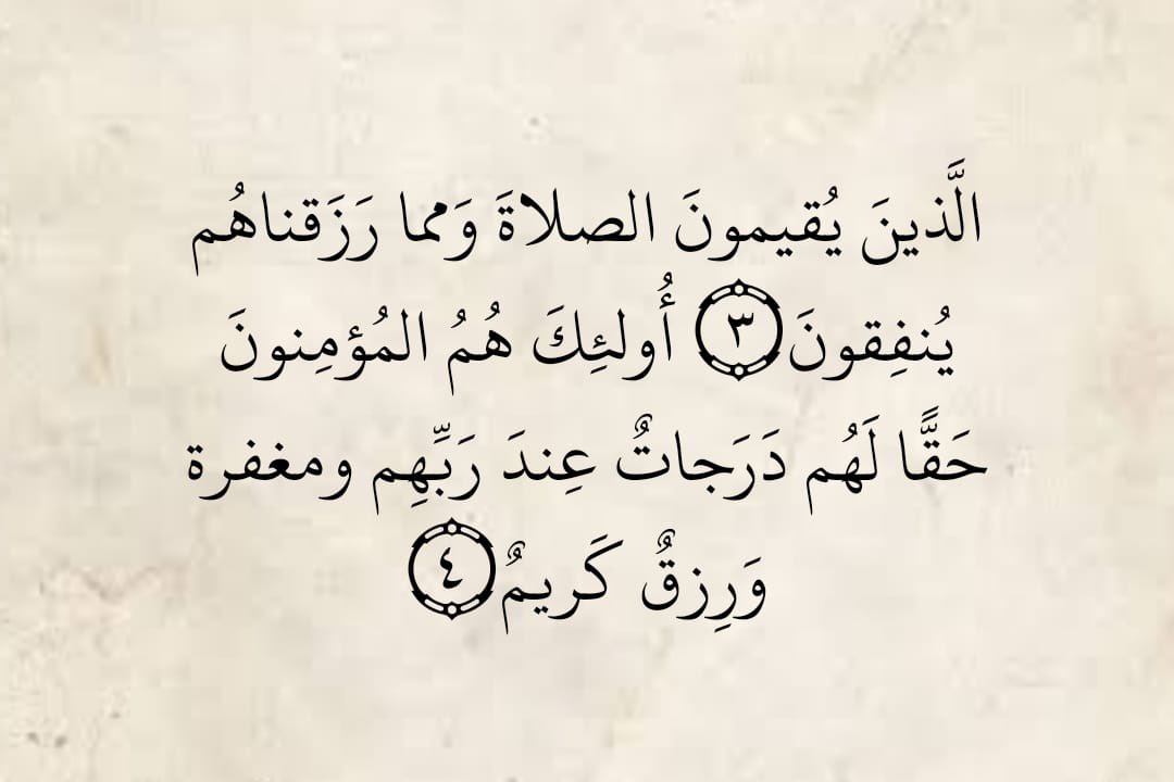 محمد الطيب tweet media