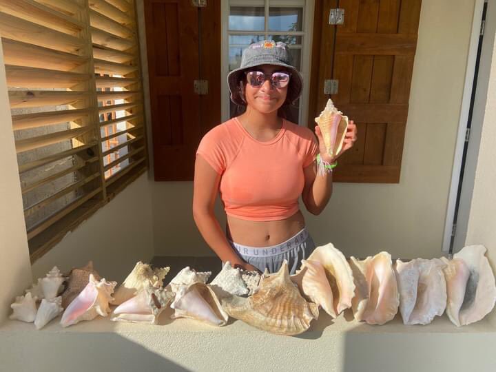 corvettewitha's tweet photo. Had an amazing vacation in Turks and Caicos 🏝🐠🐢🤿🐚⛱🛫🗺🇹🇨🕶🌅🌊 https://t.co/EGJo36NoPL