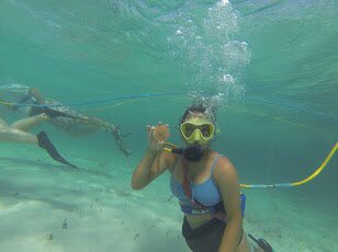 corvettewitha's tweet photo. Had an amazing vacation in Turks and Caicos 🏝🐠🐢🤿🐚⛱🛫🗺🇹🇨🕶🌅🌊 https://t.co/EGJo36NoPL