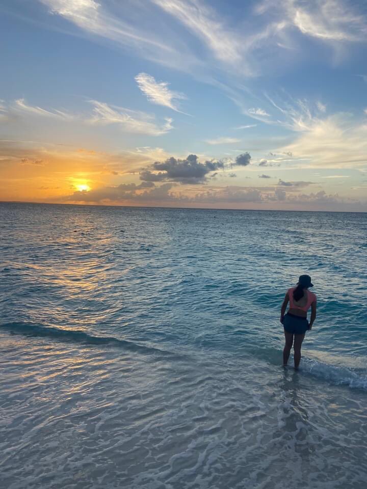 corvettewitha's tweet photo. Had an amazing vacation in Turks and Caicos 🏝🐠🐢🤿🐚⛱🛫🗺🇹🇨🕶🌅🌊 https://t.co/EGJo36NoPL