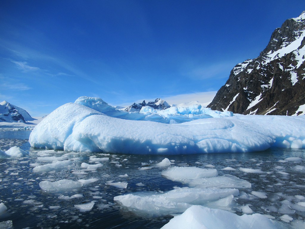 TravelStanley's tweet photo. Icebergs and bergy bits float off Pourquoi Pas Island, Antarctica. #PourquoiPas #icebergs #Antarctica #bergybits https://t.co/BBnJUAwviD