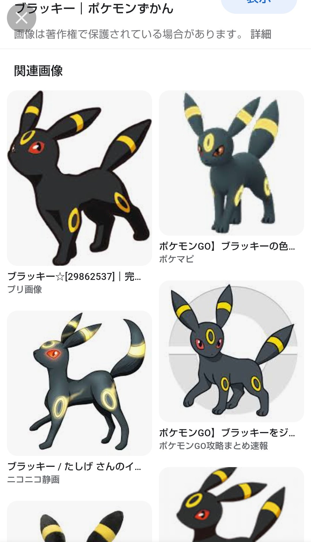 ブラッキーです Actionhall Ca
