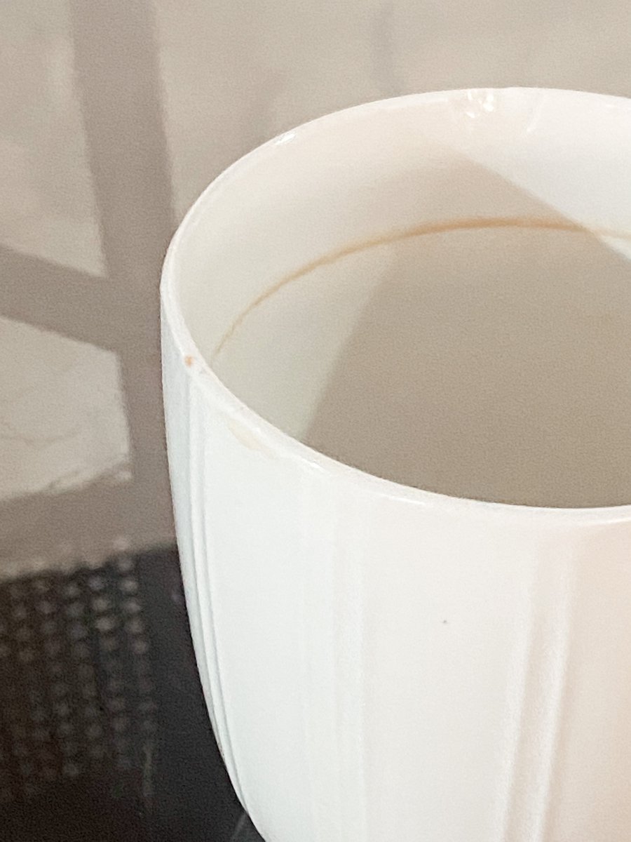 babragi's tweet photo. mornings like this 🤍☕️ https://t.co/0v9115XT44