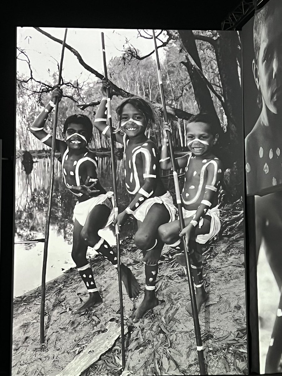 Margaret Sheehan tweet media