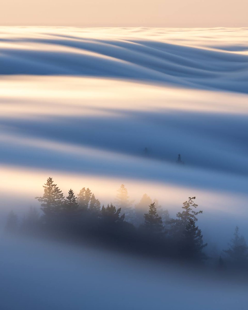 dsafanda's tweet image. A recent night up on our local mountain watching fog roll in
#california #marin #fog