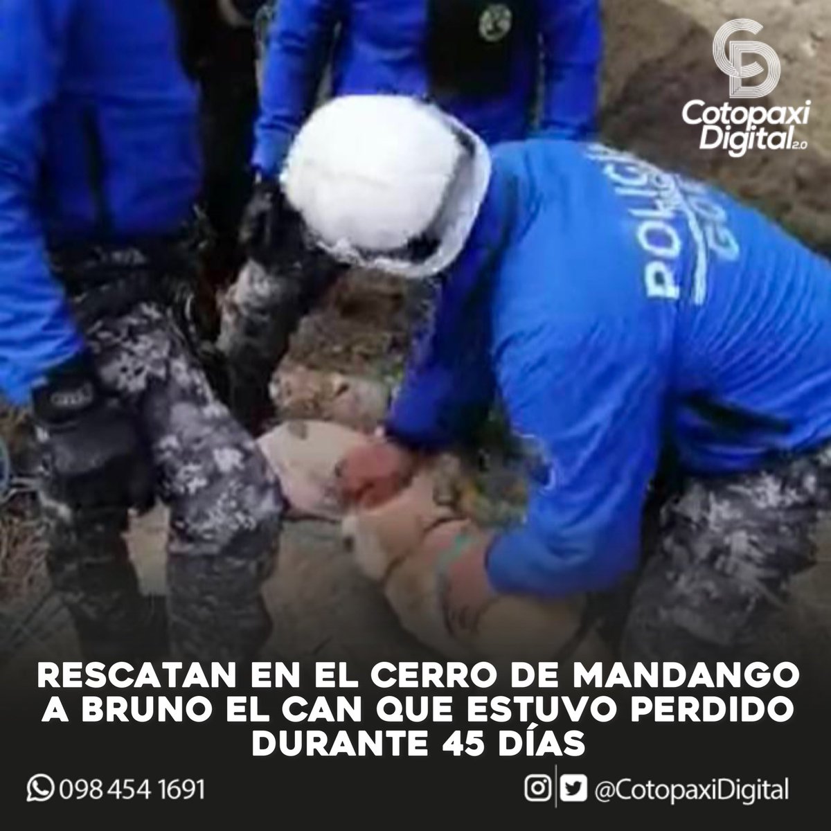 CotopaxiDigital's tweet photo. #Loja | Rescatan en el cerro de Mandango a Bruno el perrito que estuvo perdido durante 45 días.  https://t.co/FJfsmTpG1w https://t.co/2Jj0bYqEGg