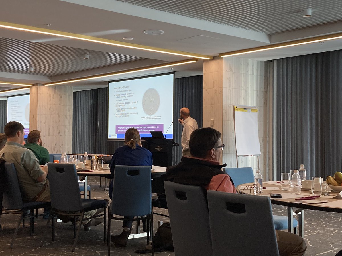 Agronomists from <a href="/EldersLimited/">Elders</a> <a href="/DJsGrowers/">DJ's Growers</a> and Ace Ohlsson are in Adelaide this week for a horticultural conference. We’re learning about agricultural fungal pathogens from Tom Loveless @CortevaAU. It’s great to listen to someone who is passionate about microbiology like me 🙌