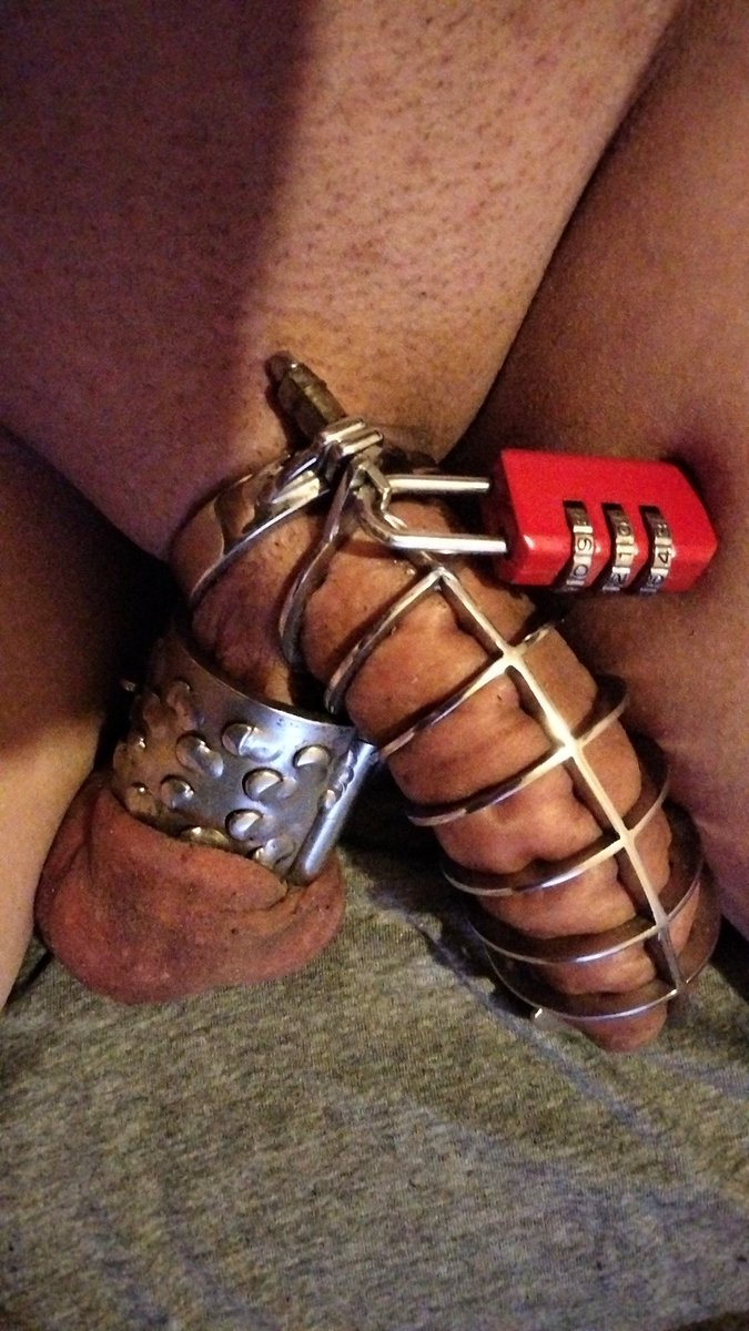locked_denied's tweet photo. What about this one Goddesses, hope you approve @BrittanyCane6 @Mistress_Aryaa https://t.co/D90xrX6r1L