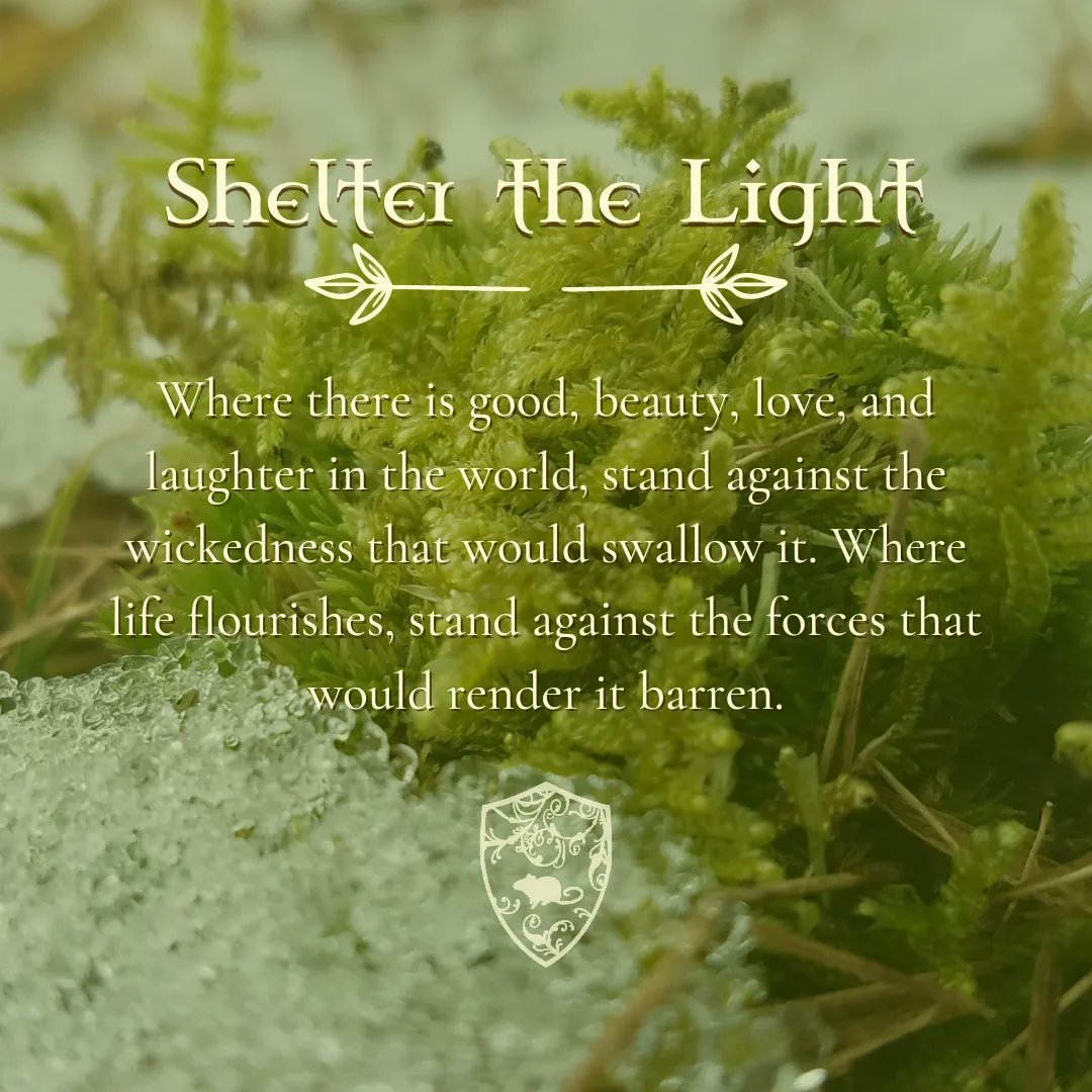 MedievalMouse's tweet photo. The Oath of the Ancients just speaks to me so, so much. #themedievalmouse #naturephotography #dndfanart #oathoftheancients https://t.co/mg90JJVgm5