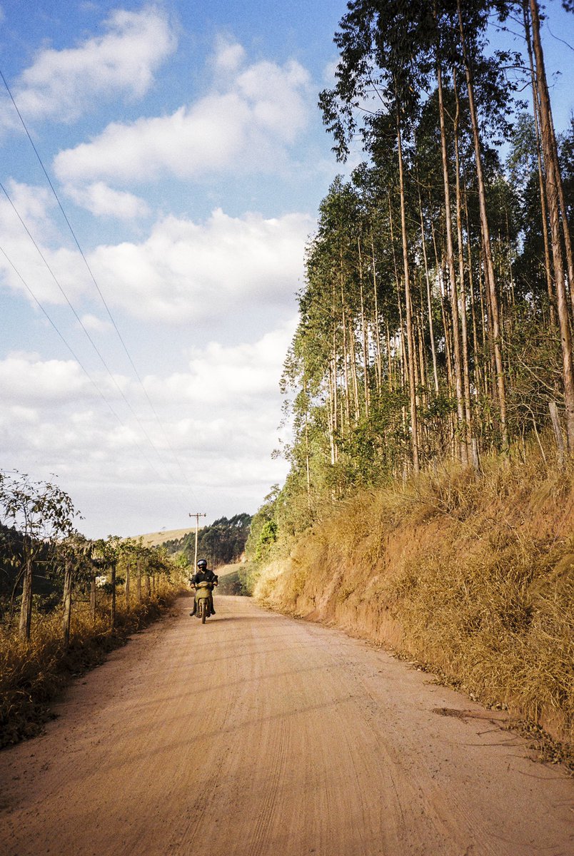 Shot on Kodak Gold 200