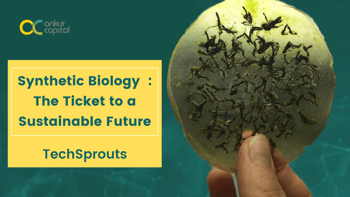 We believe that #syntheticbiology holds immense potential for our future. So we dug deep and tried to declutter the market. 
Read what we found: ankurcapital.medium.com/synthetic-biol…

#ankurcapital #deeptech #deepscience 
<a href="/pic_wrcb/">Wadhwani Research Centre for Bioengineering, IITB</a> <a href="/AIC_CCMB/">AIC-CCMB</a> @CCAMP_Bangalore <a href="/BioSpectrumInd/">BioSpectrum India</a> <a href="/SINEIITB/">SINE IITB</a>