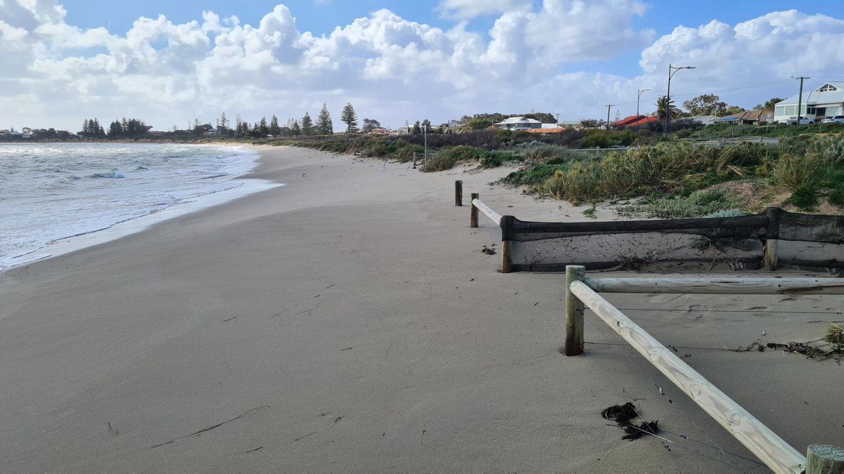 Mitchell Harley tweet media