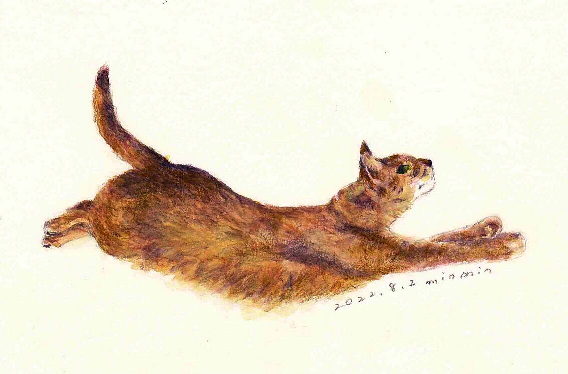 Minmin 9 2 8 Asagi Arts いぬとねこ展 のび る 緊張しっぱなしで 超合金 の 首周りと 力が抜けない身体 緊張感なさすぎで 一大事 な お腹周り はい てて様を見習い 今度こそ ストレッチ継続いたします ゆるいスケッチ 水彩 イラスト 水彩