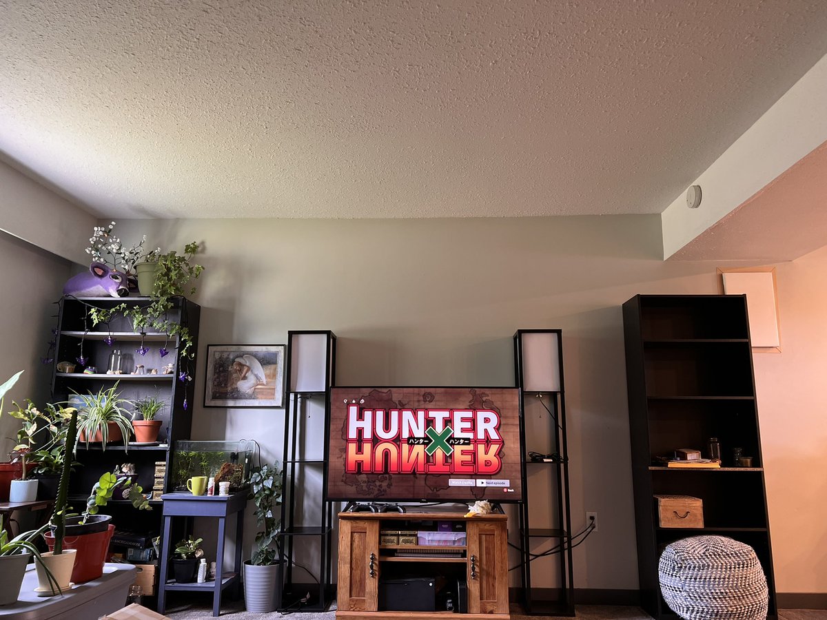 lyleroste's tweet photo. I have animal crossing to thank for my somewhat adequate home decor skills, and @RedCouch420 for her sick botanical display 🌿 https://t.co/0XwOMFXEP5