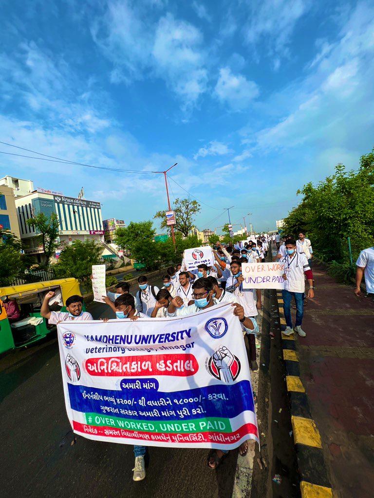 smitpatel312's tweet photo. Today,in Palanpur students of Dantiwada Veterinary College held a rally against the low stipend given by Gujarat Gov.
#Increase_Guj_Vet_Stipend 
#Guj_vet_union 
#Guj_veterinary_students_on_strike https://t.co/qzrP40DnaA