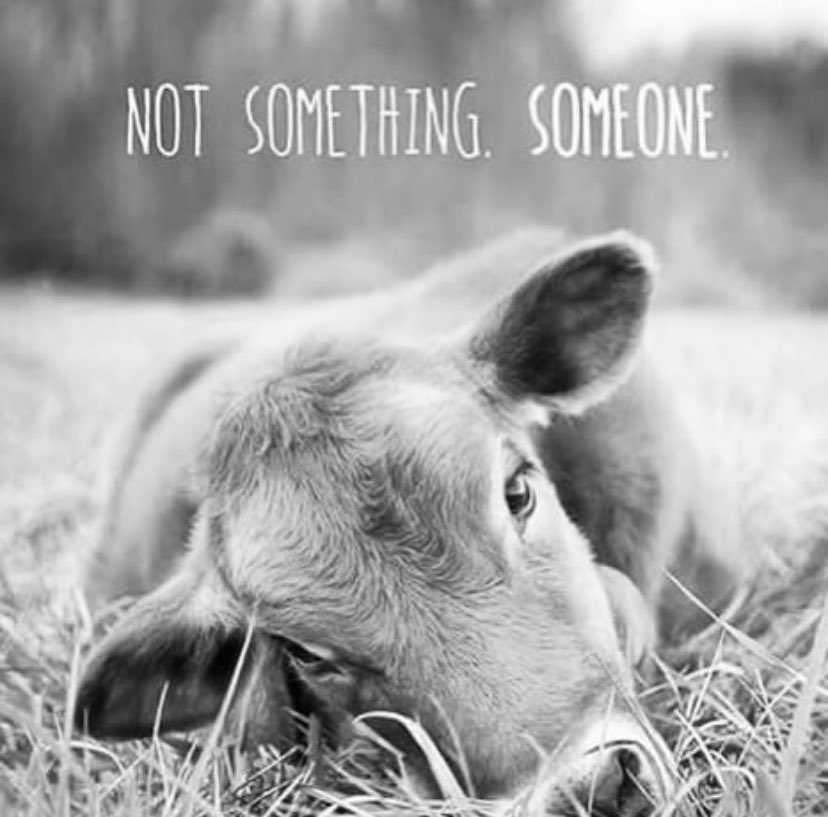 O_Toots's tweet photo. Never be the reason why another trembles in fear, cries in pain or dies. Always be the reason why others are protected, cared for and loved. 
~ Richard Deboo.

#govegan #commonsense #calve #kalfje #totherescue #friendscomeinallshapesandseizes #theirvoice #onlylove #savethisworld https://t.co/HtdRQutP3G
